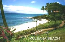 picture of Kuleana Resort 