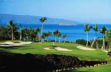 picture of Outrigger Palms Wailea 